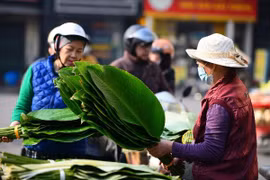 Gallery - THỊ TRƯỜNG HÀNG HÓA TẾT - image 13