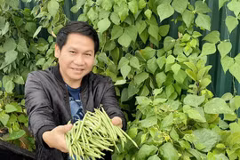 Nhà phố tràn ngập rau củ của ca sỹ Trọng Tấn