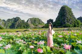 Du khách chen chân chụp ảnh ở đầm sen Hang Múa, Ninh Bình 