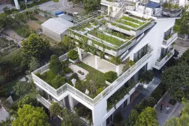 Ngắm vườn rau 300 m2 xanh mướt trên nóc biệt thự ở Hà Nội