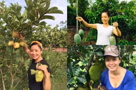 Nhà vườn bạt ngàn cây trái của nghệ sĩ Chiều Xuân ở ngoại thành Hà Nội
