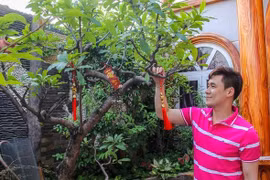 Vào xem biệt thự 200 tỷ của ca sĩ Khánh Phương ở TP HCM 
