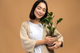 4 loại cây dành cho người mới bắt đầu trồng trong nhà 