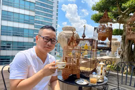 Bộ sưu tập chim cảnh giá nghìn đô của đại gia Hà Nội 