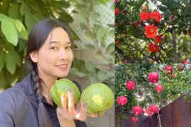 Bên trong vườn cây trĩu quả trong biệt thự của Dương Mỹ Linh 