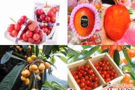 4 loại quả "đắt như vàng" vẫn “cháy hàng” ở Việt Nam