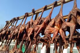Gallery - Món Ngon Từ Thịt Gà  - image 16