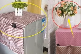 Tiện tay đặt thứ này lên tủ lạnh khiến của nả trong nhà nội đón ra đi