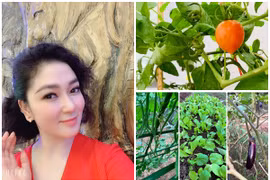 Khu vườn xanh mướt trong biệt thự của Hoa hậu Nguyễn Thị Huyền 