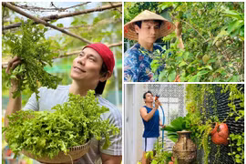 Cận cảnh nhà vườn 800m2 của “nam thần màn ảnh” Trí Quang