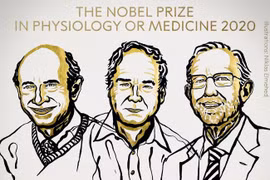 Nobel Y học 2020 vinh danh nghiên cứu về virus viêm gan C