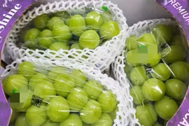 Nho mẫu đơn Hàn Quốc nửa triệu đồng/chùm ngon cỡ nào?
