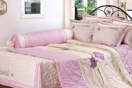 Gallery - Bạn nên biết - image 19