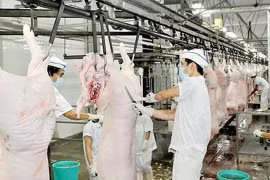  “Cái chết êm ái” khiến chất lượng thịt ngon hơn