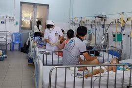 TPHCM lên kịch bản ứng phó với ca sốt xuất huyết trong tình huống xấu nhất