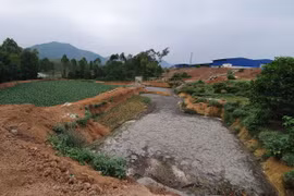 Gây ô nhiễm, Công ty Hòa Phát bị phạt hơn 400 triệu đồng