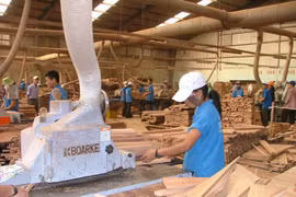 Cảnh báo 13 mặt hàng VN nguy cơ bị hàng Trung Quốc 'núp bóng'
