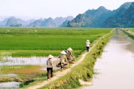 Bộ Tài chính đề xuất miễn thuế sử dụng đất nông nghiệp đến hết năm 2030