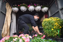 Dân buôn hàng Tết xả hàng giá rẻ