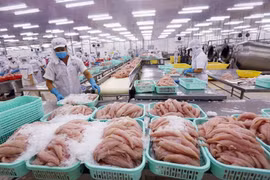 VASEP: Giá trị xuất khẩu cá tra có thể giảm khoảng 15% so với năm trước