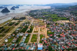 Quảng Ninh: Mạnh tay ngăn chặn “sốt đất ảo”
