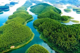 Hô Thác Bà, Yên Bái