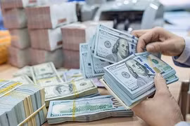 Kho bạc Nhà nước đã có 5 đợt chào mua ngoại tệ từ các ngân hàng, với tổng khối lượng 1,2 tỷ USD.
