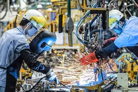 World Bank: Kinh tế Việt Nam tiếp tục phục hồi mạnh mẽ 