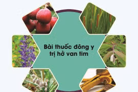 Bài thuốc Đông y trị hở van tim an toàn, hiệu quả tại nhà