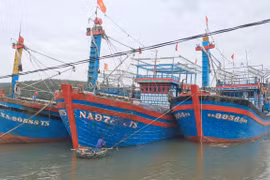 Tỉnh Nghệ An cấm các loại tàu thuyền ra khơi kể từ 0h ngày 10/10.