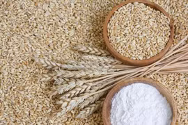Vitamin B1 quan trọng đối với hệ thần kinh 