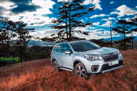 Chính sách hậu mãi bổ sung cho xe Subaru Forester tại Việt Nam