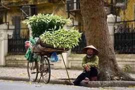 Người lao động xin xác nhận hưởng 1,5 triệu đồng không phải về quê