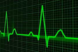 Nhận dạng sinh trắc học trên cơ sở nhịp tim