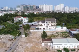 Ảnh minh họa
