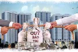 Hàng loạt “ông lớn” bất động sản sai phạm trong quản lý quỹ bảo trì