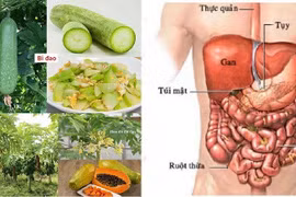 Món ăn - bài thuốc chữa viêm loét ruột kết
