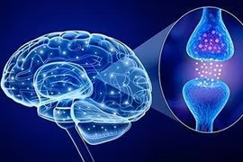 Lý giải 3 nguyên nhân phổ biến gây rối loạn lo âu 