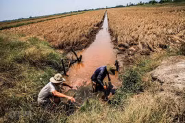 Lọc nước biển, chuyển nước “cứu” ĐBSCL