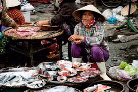 Thực phẩm xanh ở Việt Nam.
