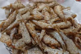Cá to cá nhỏ