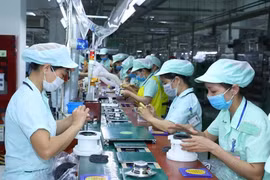 Doanh nghiệp Nhật Bản muốn mở rộng hoạt động tại Việt Nam
