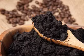  Đuổi côn trùng bằng bã cà phê