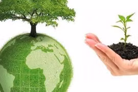 Báo cáo đánh giá tác động môi trường: Cần quy định cụ thể về công khai thông tin