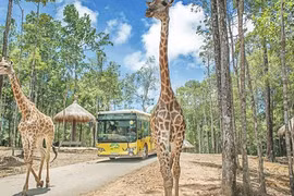 Hà Nội chuẩn bị có Vinpearl Land rộng 80ha tại Gia Lâm kết hợp Safari dưới nước và trên cạn