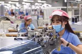 Trái chiều ý kiến về kiến nghị lập Quỹ bảo lãnh doanh nghiệp 100.000 tỷ đồng