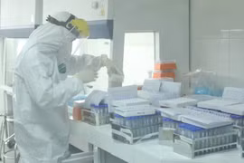 Công ty Đức Minh: nhập nghìn tỷ kit test bán giá gấp đôi
