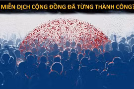 Chọn miễn dịch cộng đồng là rất phiêu lưu