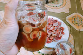 Người bệnh thận thể hàn không dùng nhung hươu