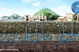  Mực nước ngầm báo hiệu động đất
